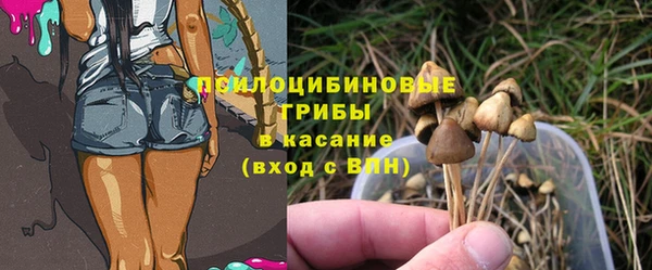 не бодяженный Алзамай