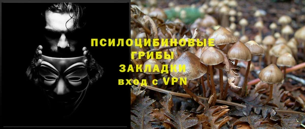 соль ск Алексин